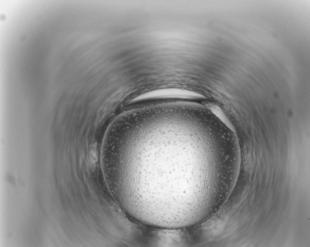 X0000088430085200705291536