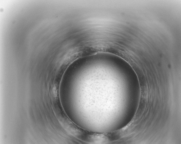 X0000088430086200705291536