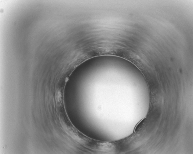 X0000088430087200705291536