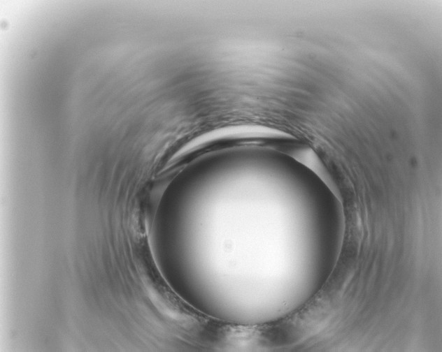 X0000088430088200705291536