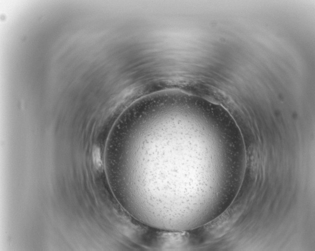 X0000088430089200705291536