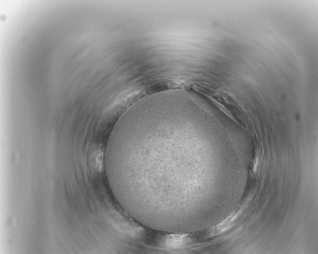 X0000088430090200705291536