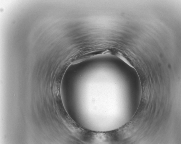 X0000088430091200705291536