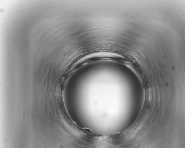 X0000088430092200705291536