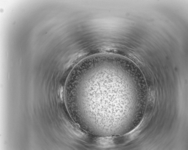 X0000088430094200705291536