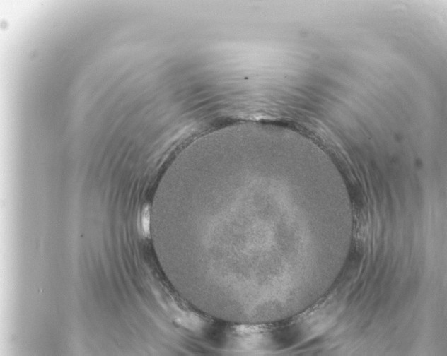 X0000088430095200705291536