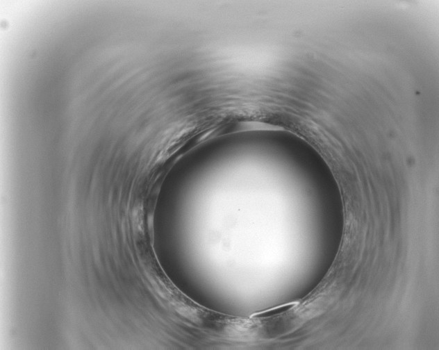 X0000088430096200705291536