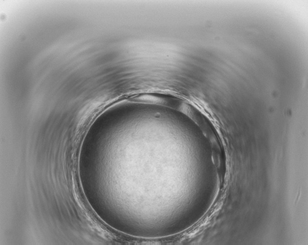 X0000088430097200705291535