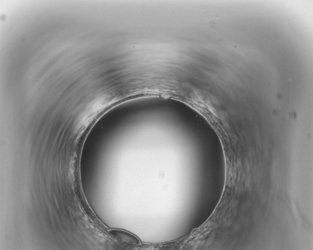 X0000088430098200705291535