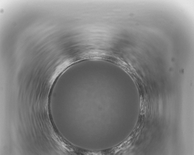 X0000088430099200705291535