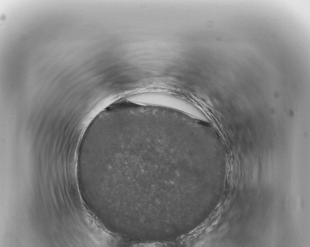 X0000088430100200705291535