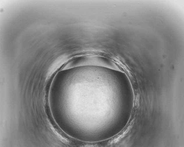 X0000088430101200705291535