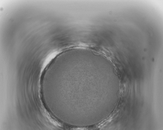 X0000088430102200705291535