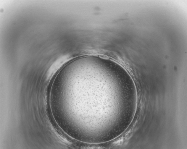 X0000088430103200705291535