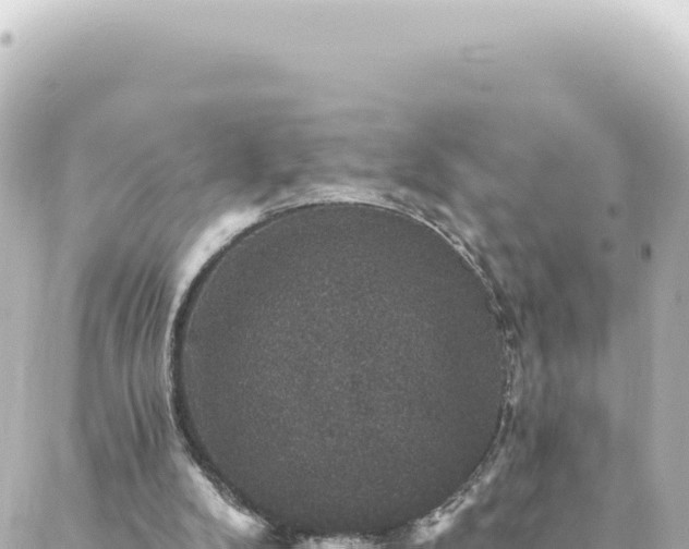 X0000088430104200705291535