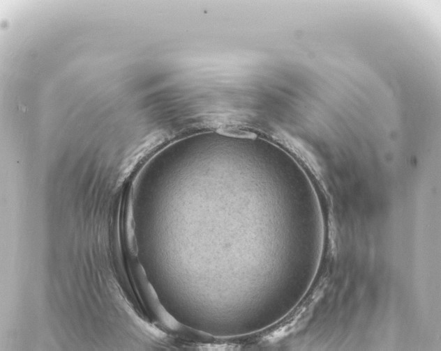 X0000088430105200705291535