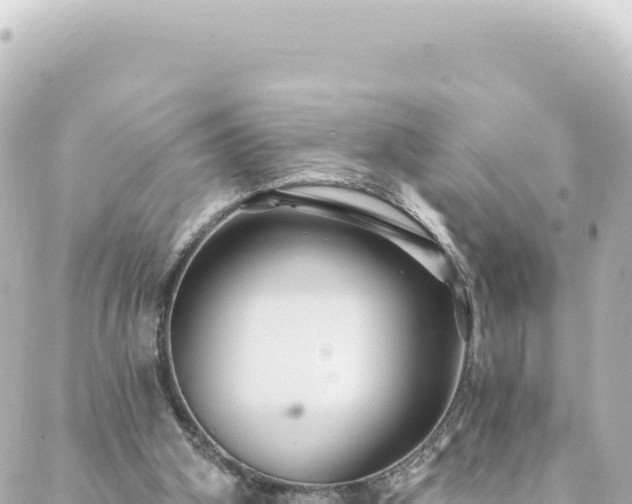 X0000088430106200705291535