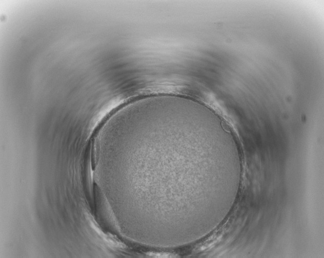 X0000088430107200705291535