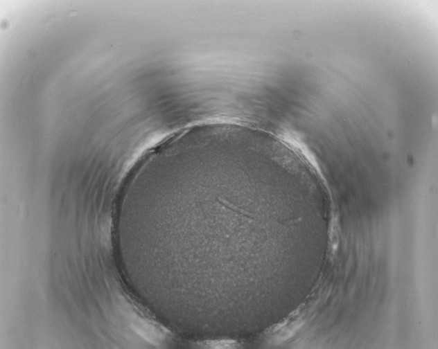 X0000088430108200705291535