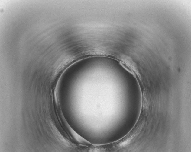 X0000088430109200705291535