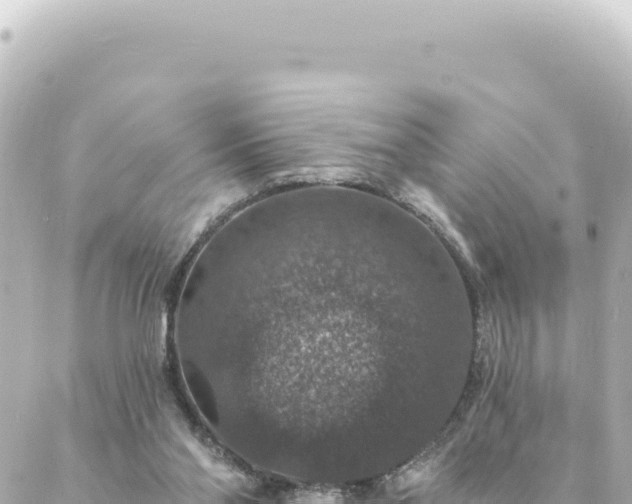 X0000088430110200705291535