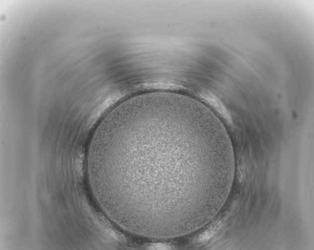 X0000088430111200705291535