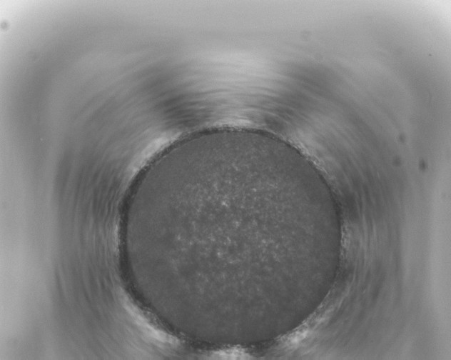 X0000088430112200705291535