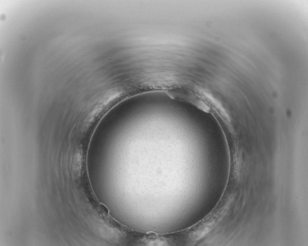 X0000088430113200705291535