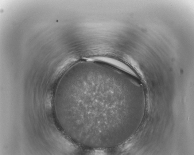 X0000088430114200705291535