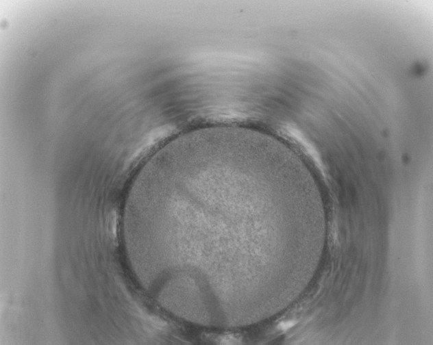 X0000088430115200705291535