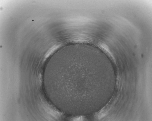 X0000088430116200705291535