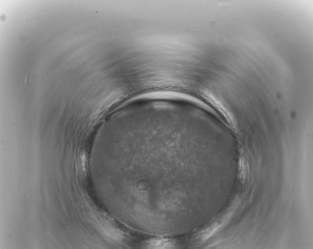 X0000088430117200705291535