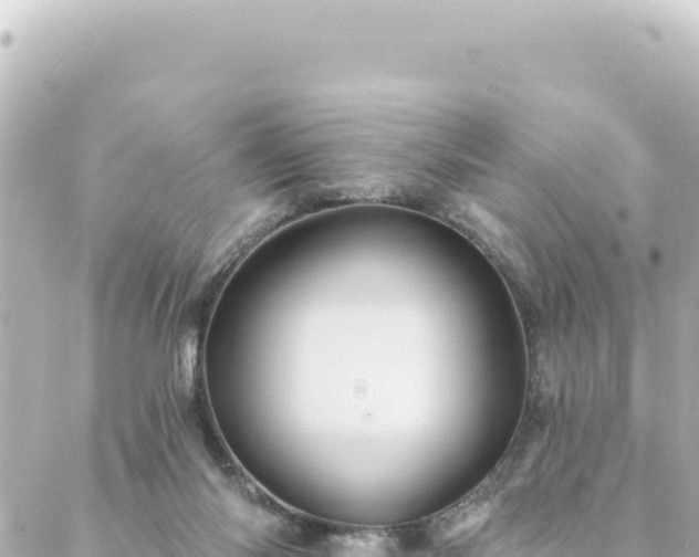 X0000088430118200705291535