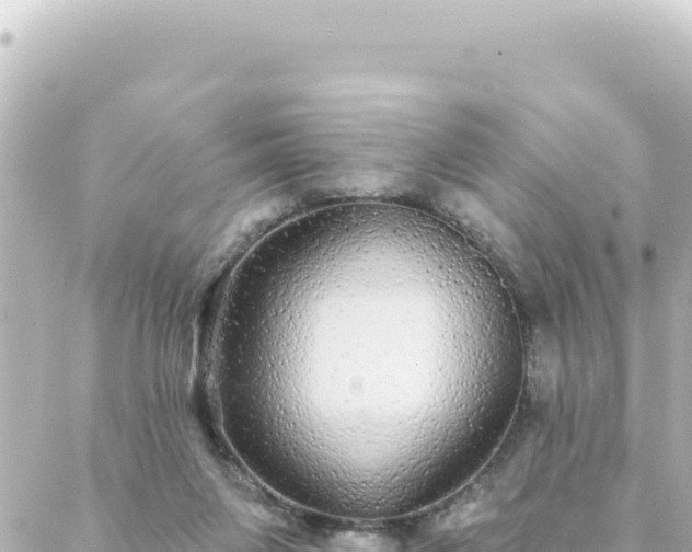 X0000088430119200705291535