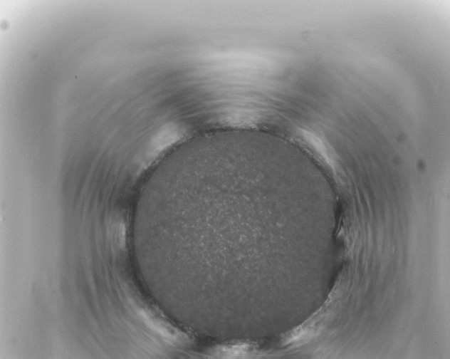 X0000088430120200705291535