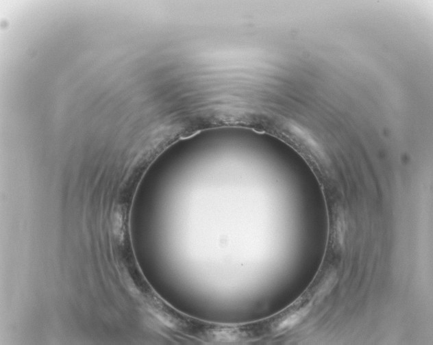 X0000088430121200705291535