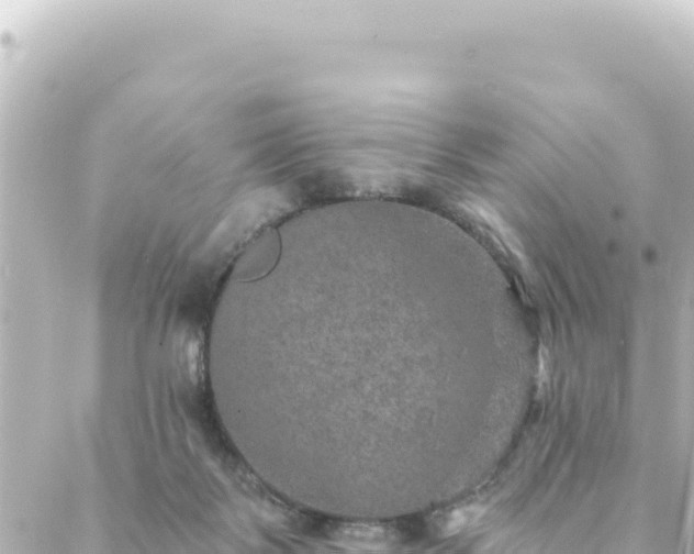 X0000088430123200705291535