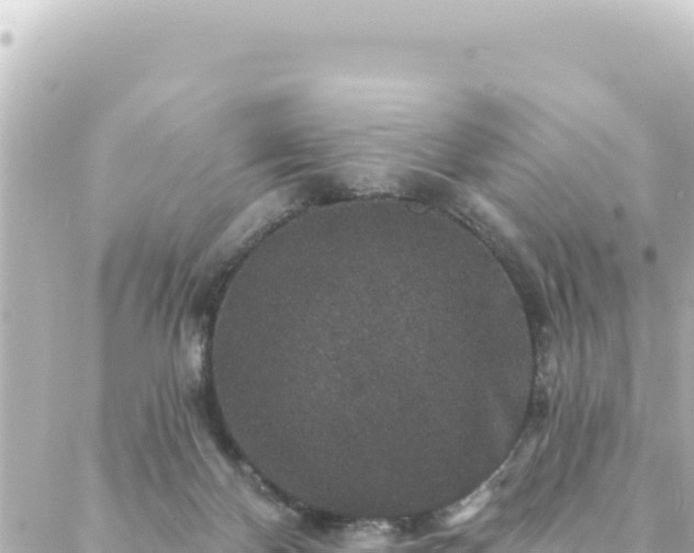 X0000088430124200705291535