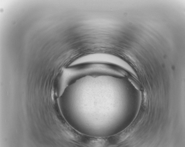 X0000088430125200705291535