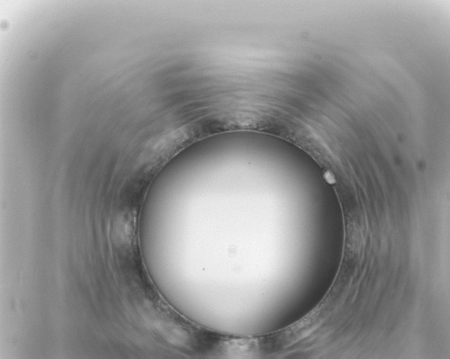 X0000088430126200705291535