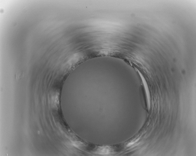 X0000088430127200705291535