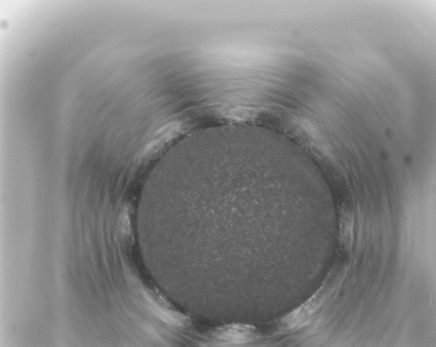 X0000088430128200705291535