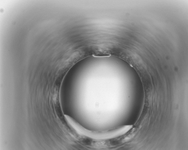 X0000088430129200705291535