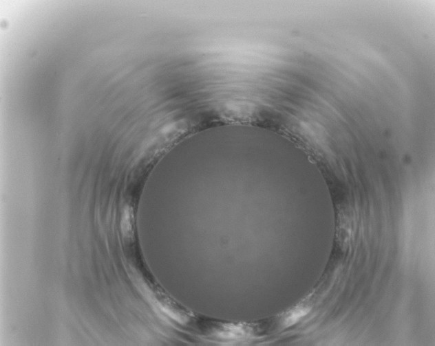 X0000088430130200705291535