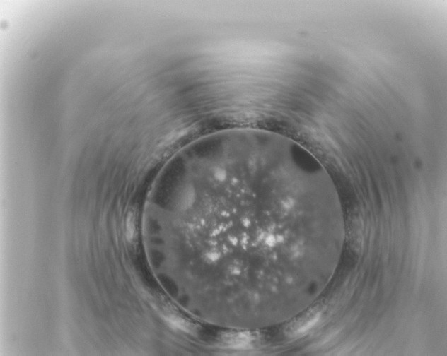 X0000088430131200705291535