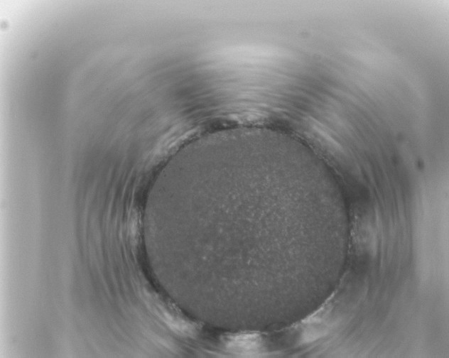 X0000088430132200705291535