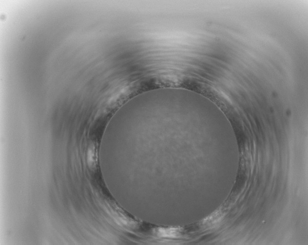 X0000088430134200705291534