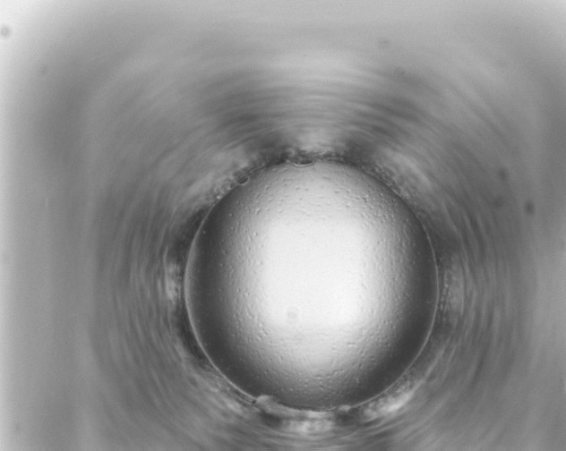 X0000088430135200705291534