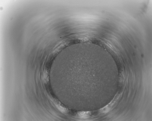 X0000088430136200705291534