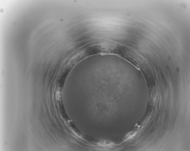 X0000088430137200705291534